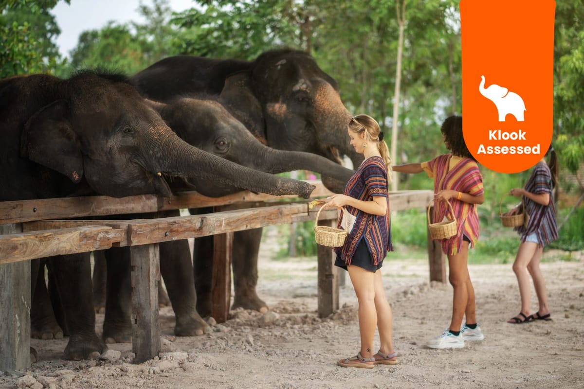 Best Things to Do in Chiang Mai 2026: Complete Klook Activity Guide